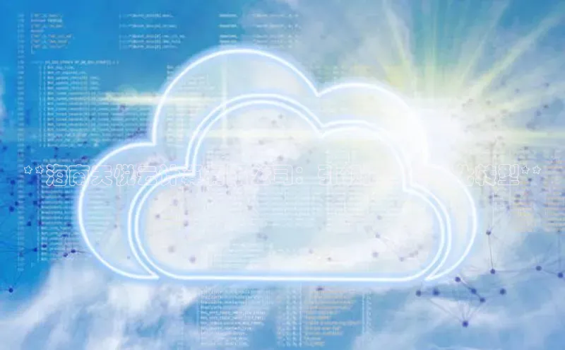 28圈.ccmpc正版度小满理财**海南天悦云计算有限公司：引领海南数字化转型**