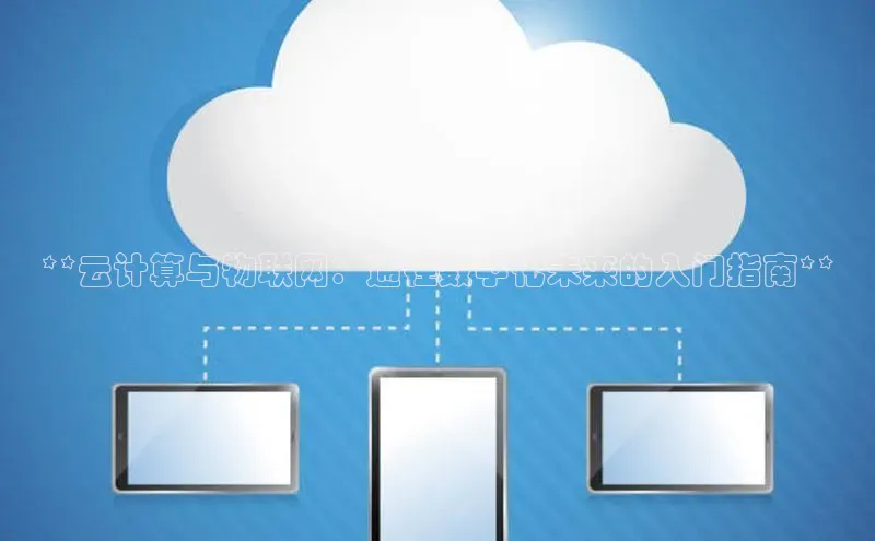 能玩加拿大28的网址百度营销中心**云计算与物联网：通往数字化未来的入门指南**