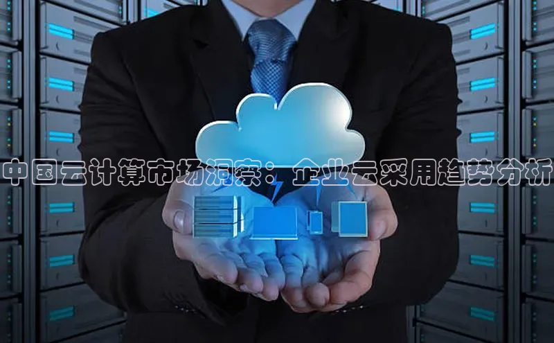 加拿大2.8平台下载华扬联众中国云计算市场洞察：企业云采用趋势分析