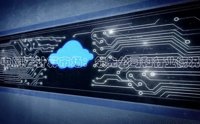 加拿大NG28娱乐软件百度社团赞助平台中国云计算市场：领先公司和行业概况