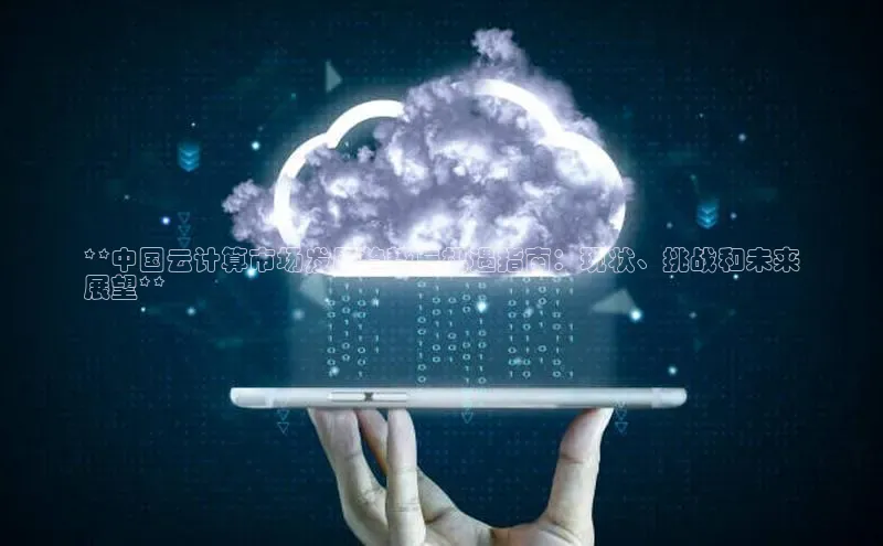28圈平台链接华策影视**中国云计算市场发展趋势与机遇指南：现状、挑战和未来
展望**
