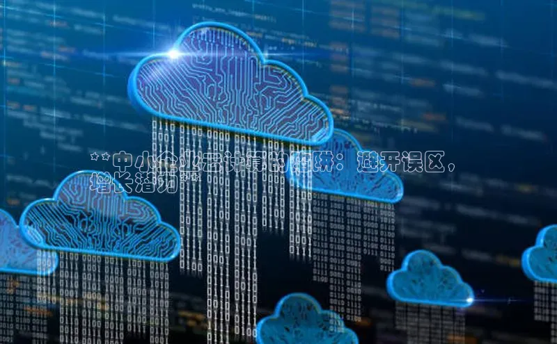28圈.ccm巴美列捷福**中小企业云计算的陷阱：避开误区，
增长潜力**