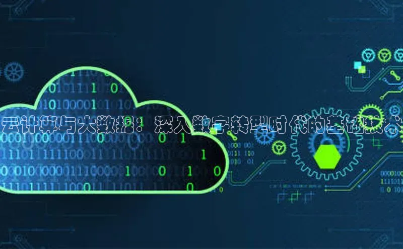 28圈平台官网版下载字节跳动云计算与大数据：深入数字转型时代的基础技术