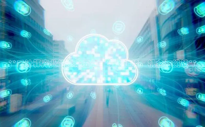 加拿大2.8平台下载诸葛科技**云计算产业的未来五年：增长趋势、机会与挑战**