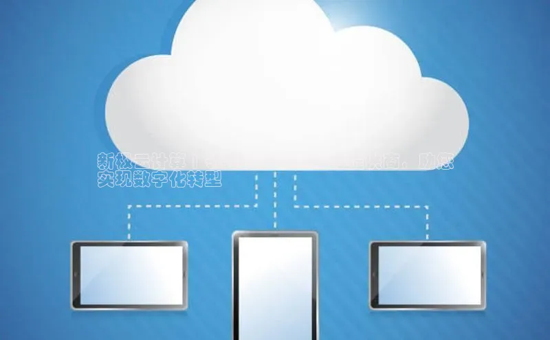 28圈电子游戏中海达新极云计算 | 领先的云计算服务提供商，助您
实现数字化转型