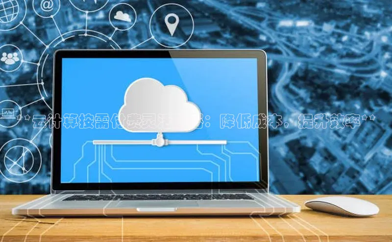 加拿大28圈预测大神普信公司**云计算按需付费灵活部署：降低成本，提升效率**