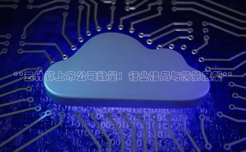 28圈.ccmpc29官网版下载百度手机输入法**云计算上市公司数量：行业格局与前景展望**