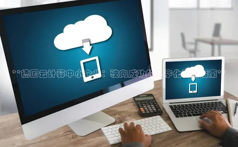 pc28圈下载文心一言**德国云计算中小企业：驶向成功的数字化转型指南**