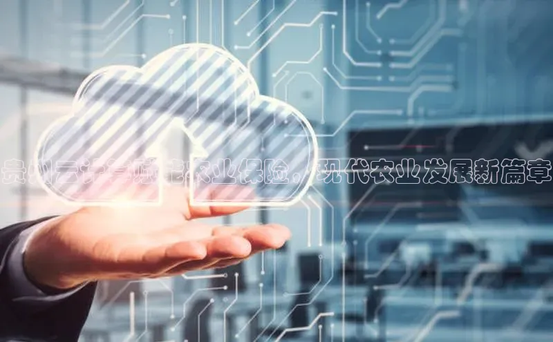 加拿大NG28娱乐软件百度社团赞助平台贵州云计算赋能农业保险，现代农业发展新篇章