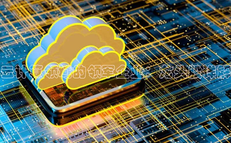 加拿大28圈合法吗赛富乐斯云计算领域的领军企业：龙头股详解