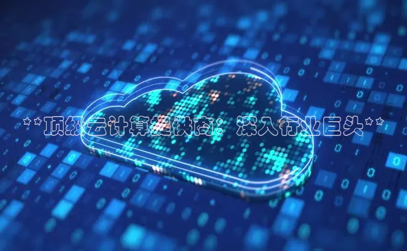 28圈平台官网版下载百度数据开放平台**顶级云计算提供商：深入行业巨头**