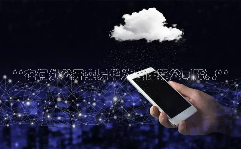 28圈注册网站百度 H5**在何处公开交易华为云计算公司股票**