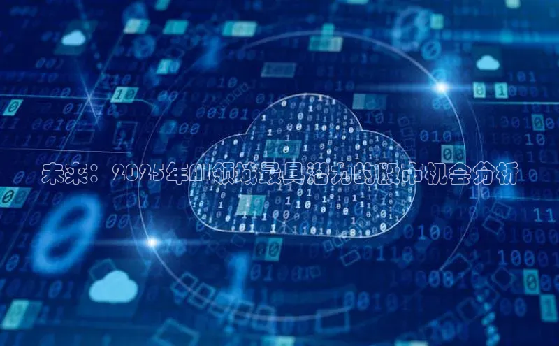 未来：2025年AI领域最具潜力的股市机会分析
